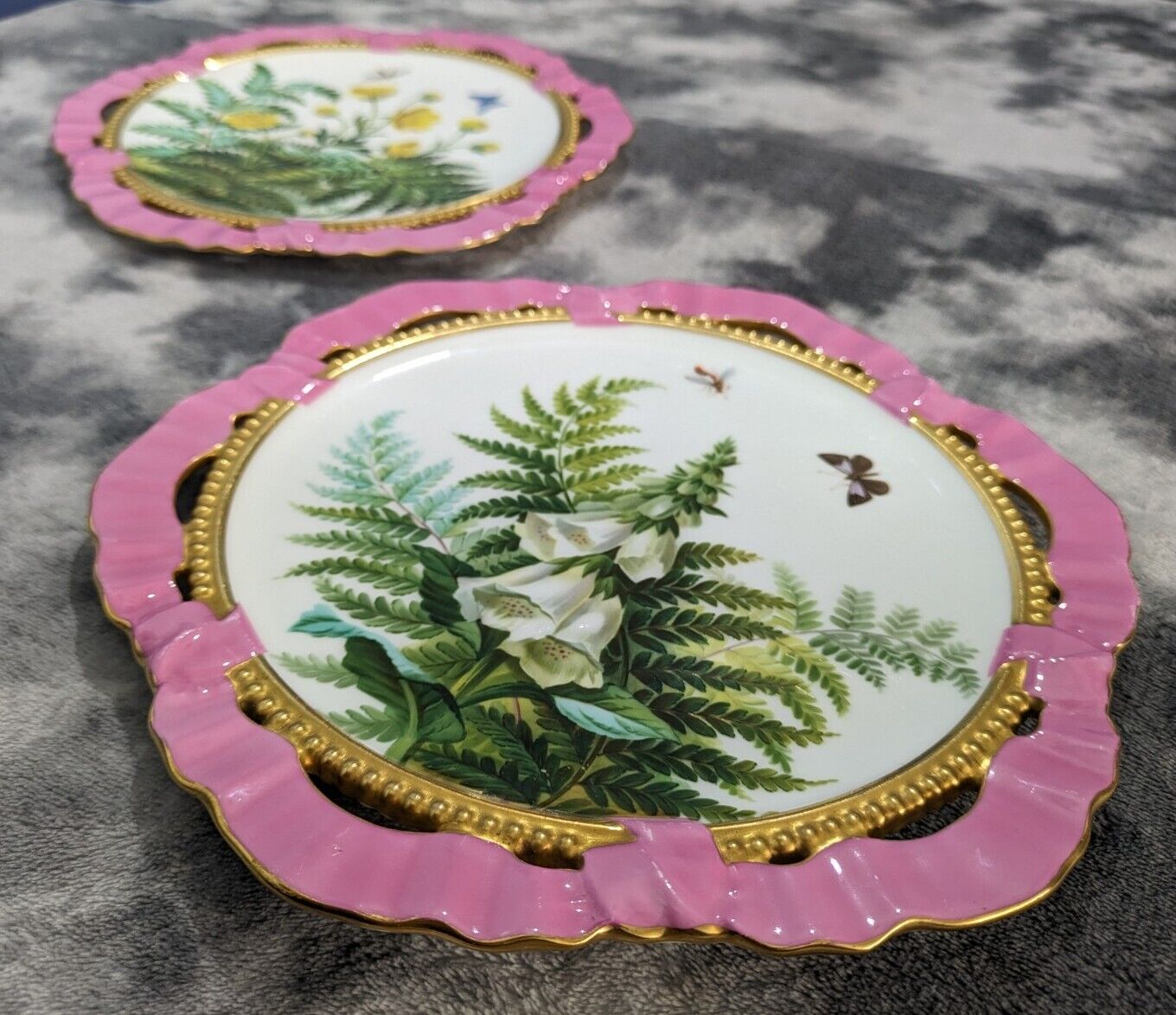 19th Century Brown Westhead Moore Hand Painted Butterfly Floral Ribbon Plate