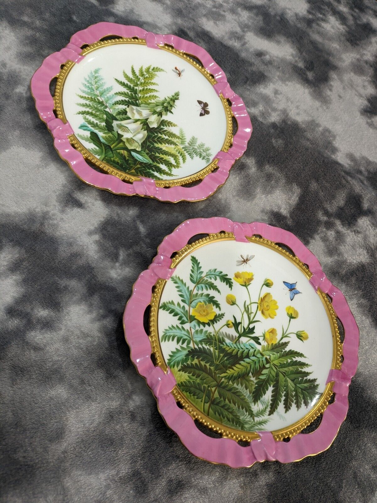 Rare Antique Brown Westhead Moore Butterfly Floral Ribbon Ceramic 19th Century