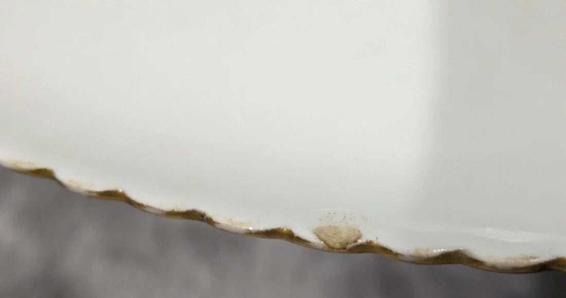 19th Century Aesthetic Movement Royal Worcester Hand painted Butterfly Bee Plate Victorian Antique