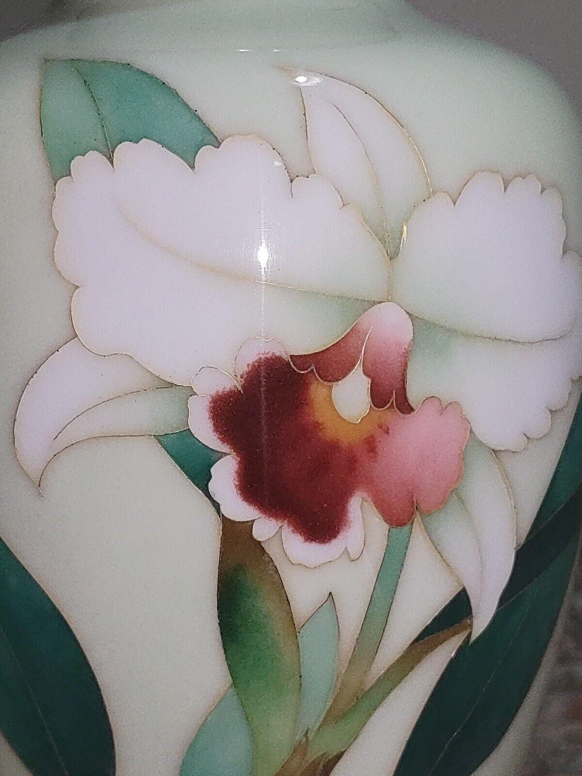 Japanese Ando Showa Sato Cloisonne Green Enamel Vase Mid 20th Century - 19 cm - Tommy's Treasure