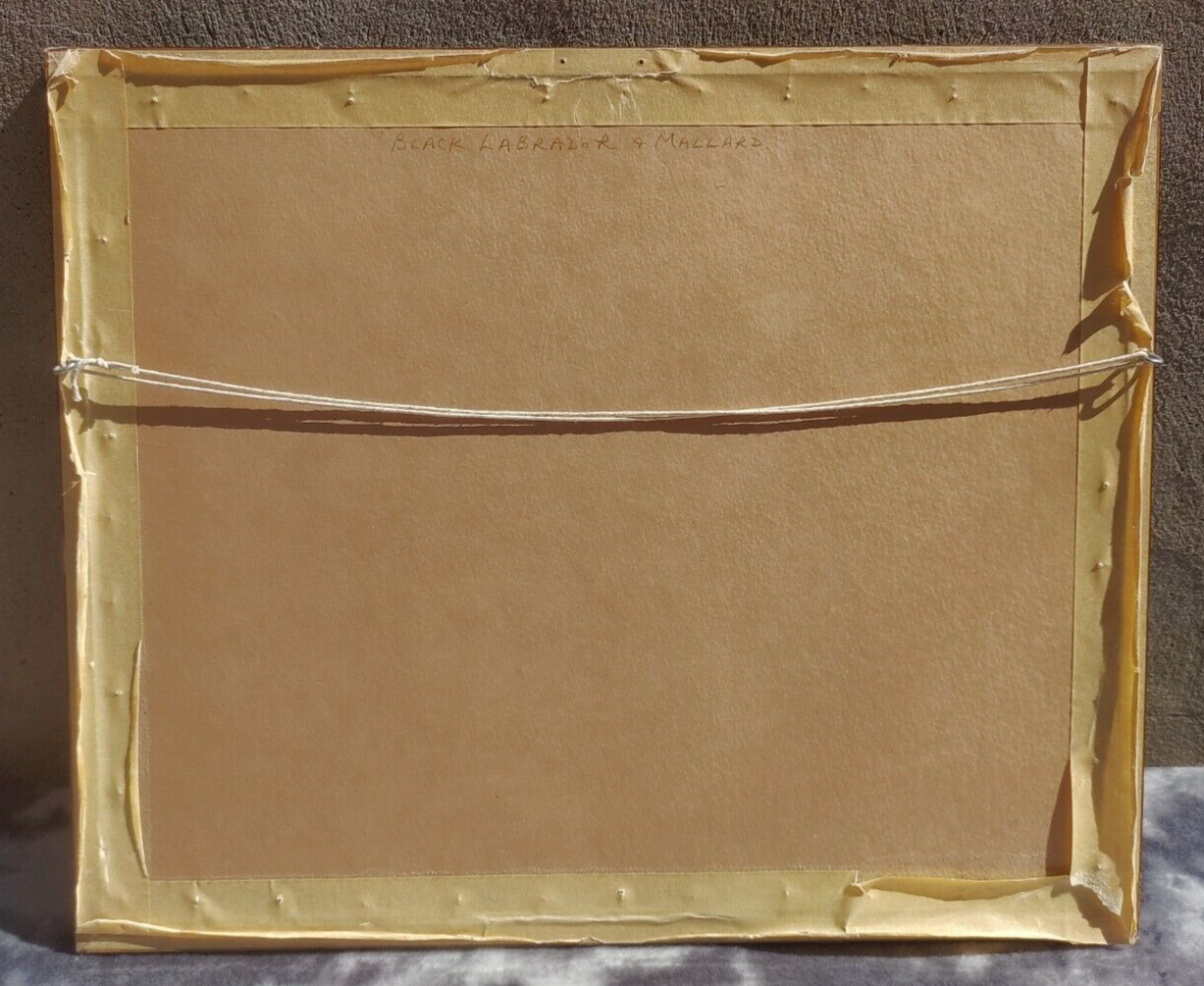 Henry Wilkinson 1921-2011 Signed Colour Etching Labrador Hunting Mallard Ducks