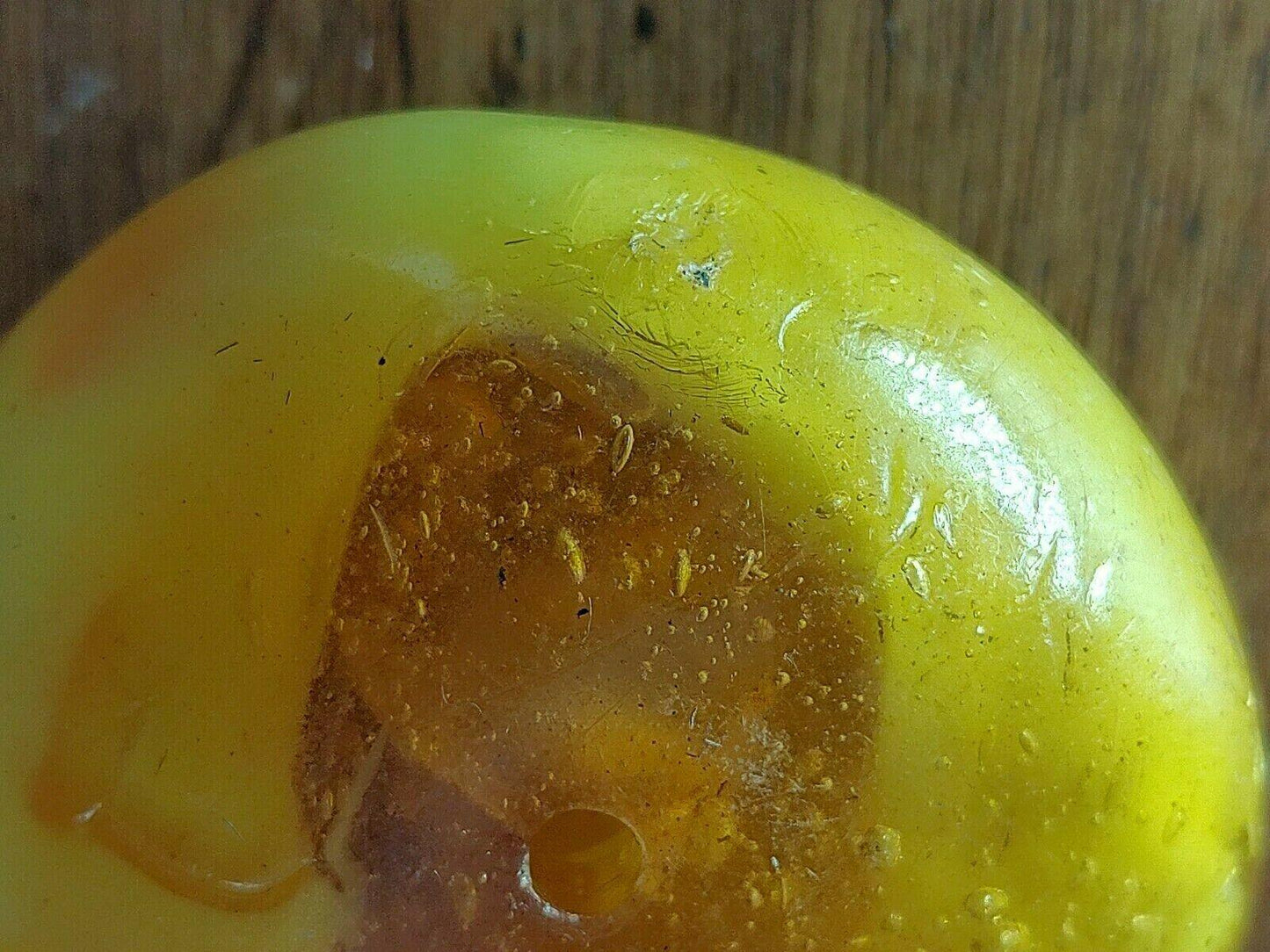 Large Antique Natural Berber Amber Trade Bead Ethnic Moroccan Tribal - 64 Grams - Tommy's Treasure