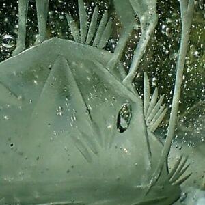 19th Century Bavarian Bohemian Hand Blown Etched Stag Deer Antique Glass Flask Vase - Tommy's Treasure