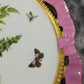 19th Century Brown Westhead Moore Hand Painted Butterfly Floral Ribbon Plate