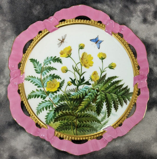 Rare Antique Brown Westhead Moore Butterfly Floral Ribbon Ceramic 19th Century