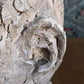Vintage Mid 20th Century Original Plaster Sculpture Head Bust Statue Male Art
