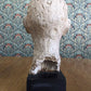 Vintage Mid 20th Century Original Plaster Sculpture Head Bust Statue Male Art