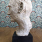 Vintage Mid 20th Century Original Plaster Sculpture Head Bust Statue Male Art
