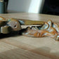 Italian Renaissance Grotesque Mask & Cherubs Medici Brass Door Knocker - Tommy's Treasure
