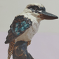 Vintage Australian Pottery Porcelain Perched Kookaburra Kingfisher Bird Figurine - Tommy's Treasure