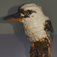 Vintage Australian Pottery Porcelain Perched Kookaburra Kingfisher Bird Figurine - Tommy's Treasure