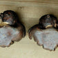 Antique Pair of German Baroque Cherub Angel Putti Head Plaster Wood Wall Plaques - Tommy's Treasure